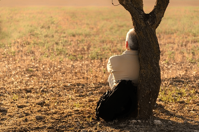 Advaita Vedanta : La contemplation est essentielle pour une approche non dualiste du monde